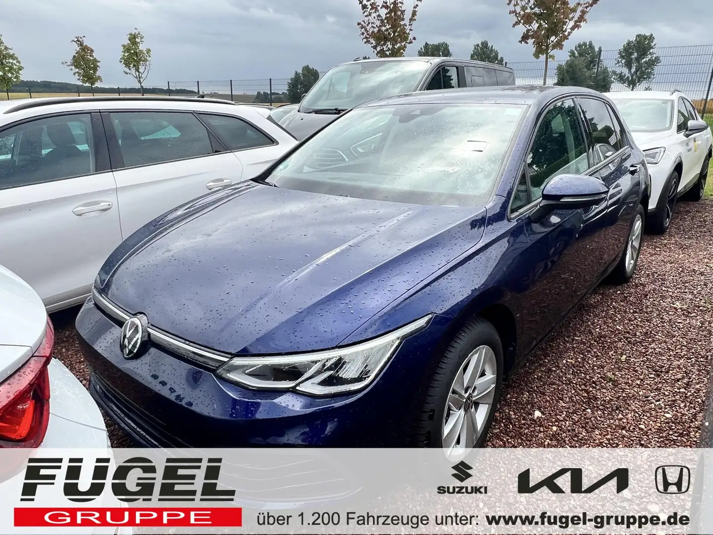 Volkswagen Golf 2.0 TDI DSG Life LED|virt.Cock.|Navi|ACC|RFK Bleu - 1