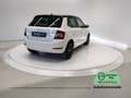 Skoda Fabia Fabia 1.0 MPI 60 CV Twin Color Nero Blanc - thumbnail 6