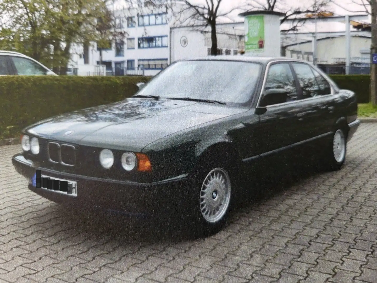 BMW 525 525i Verde - 1