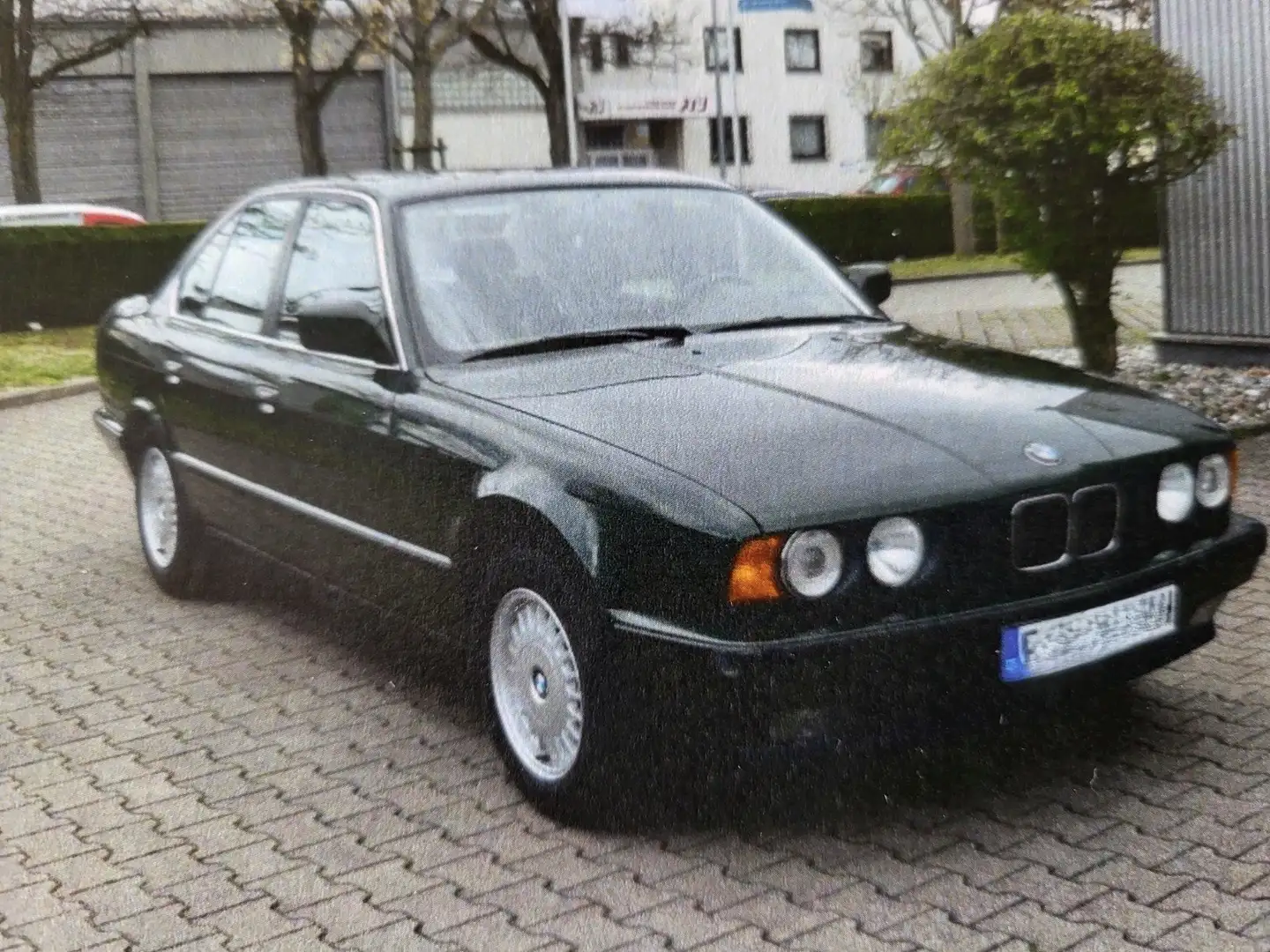 BMW 525 525i Verde - 2