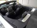 Land Rover Range Rover Evoque Convertible 2.0TD4 SE Dynamic 4WD 150 Aut Blanc - thumbnail 12