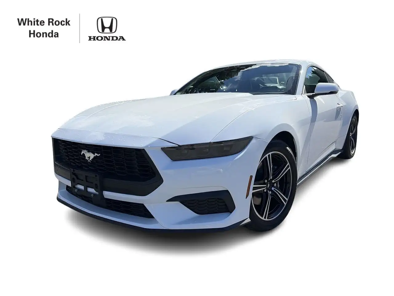 Ford Mustang fotografie Ford Mustang