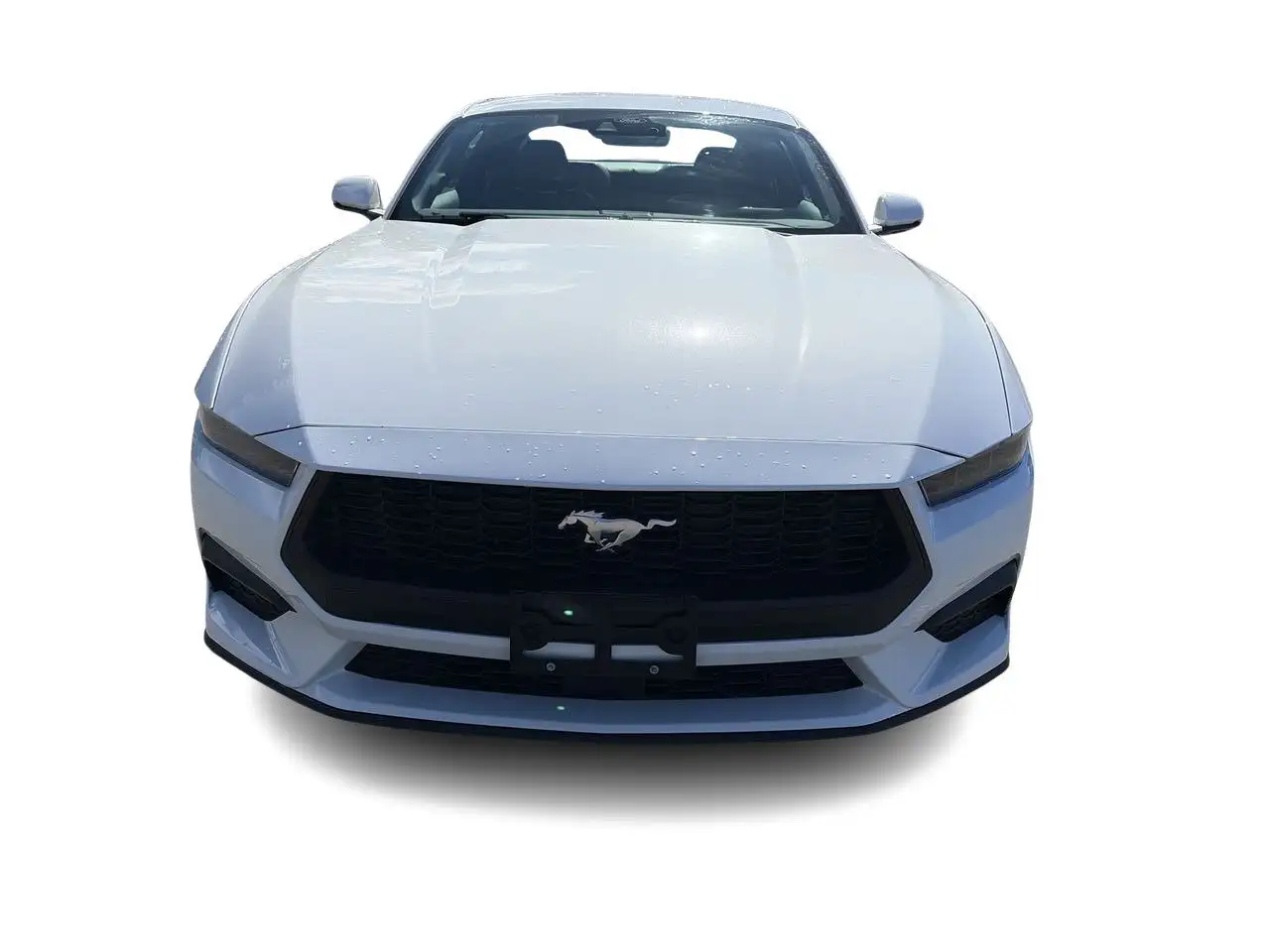 Ford Mustang снимка Ford Mustang