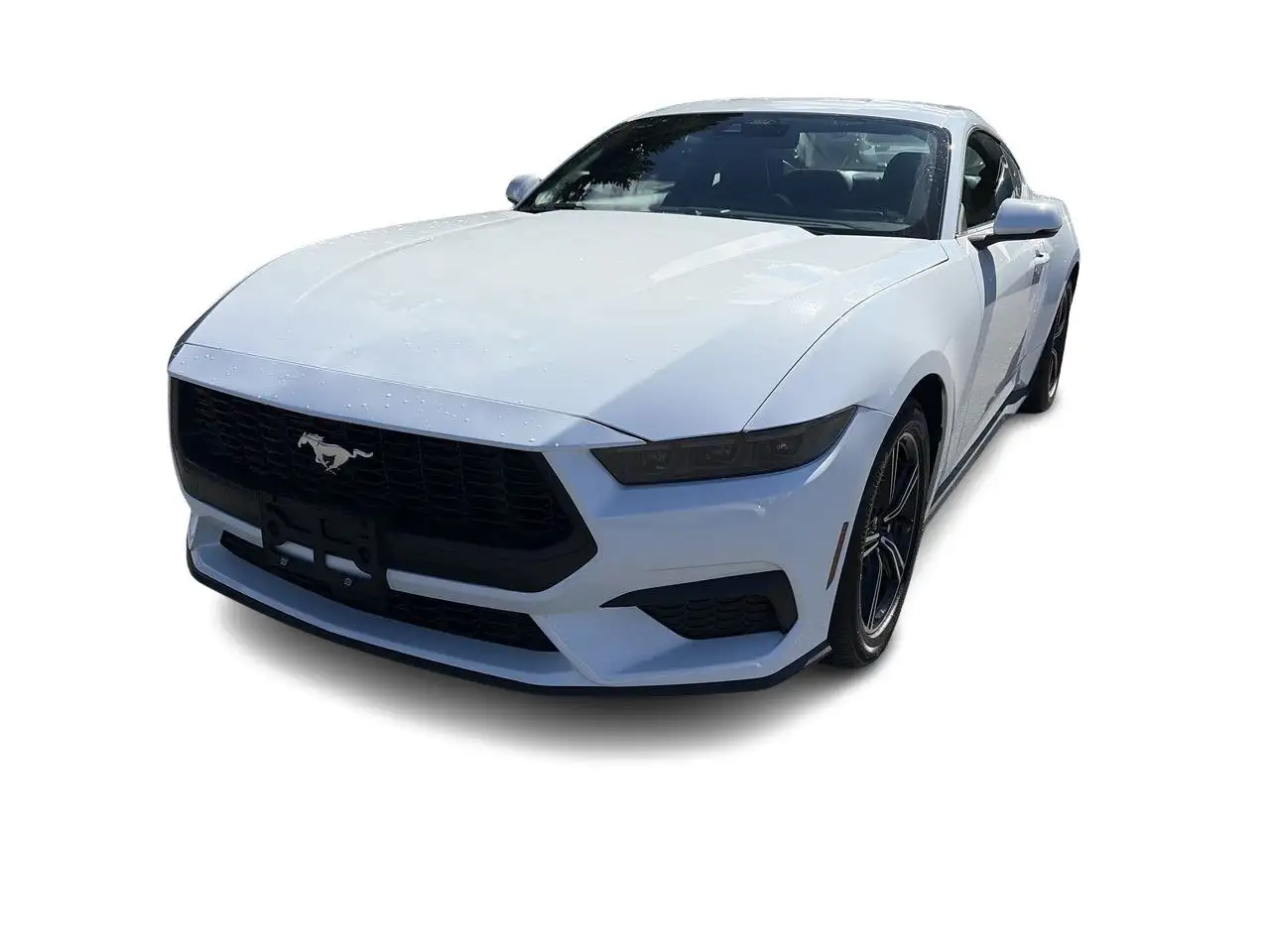 Ford Mustang снимка Ford Mustang