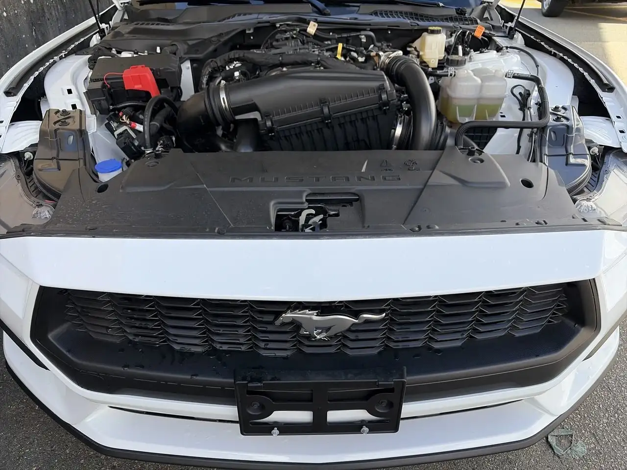 Ford Mustang снимка Ford Mustang