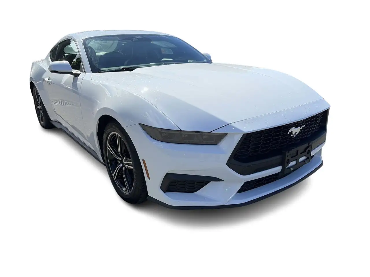 Ford Mustang снимка Ford Mustang