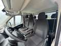 Citroen Jumper Doppelkabine Pritsche L2 AHK Weiß - thumbnail 27
