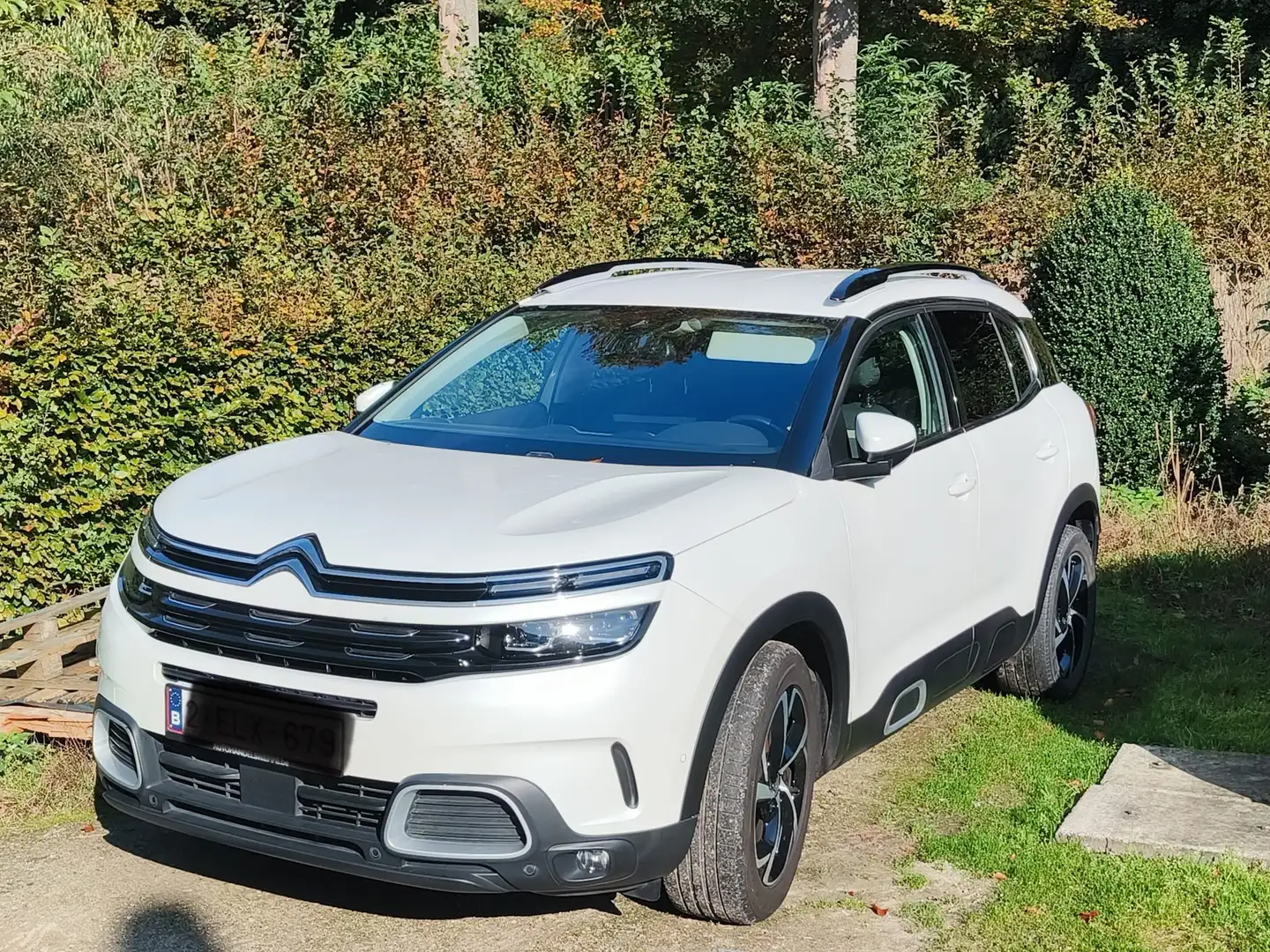 Citroen C5 Aircross Pure Tech 130 S&S LIVE - 1