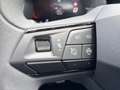 SEAT Ibiza Reference Edition 1.0 TSI Rot - thumbnail 17