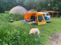 Volkswagen T1 Spijlbus 'Brazilian style' Blauw - thumbnail 8