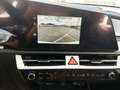 Kia Niro 1.6 HEV Vision DCT6 Белый - thumbnail 12
