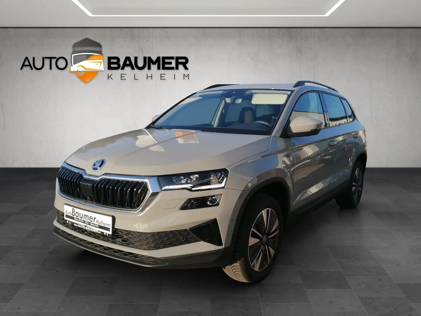 Skoda Karoq 1.5 TSI DSG PANO AHK MATRIX elHK Grau - 1
