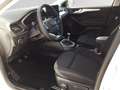 Ford Focus Titanium 1.0 EcoBoost #NAVI#KLIMA#DAB#S&S Weiß - thumbnail 7