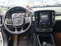 Volvo XC40 D4 Momentum AWD Geartronic Weiß - thumbnail 10