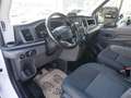 Ford Transit Pritsche Doka 2,0 Ecoblue L2H1 350 Trend *2023er+ Weiß - thumbnail 7