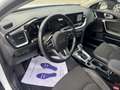 Kia XCeed Xceed 1.4 T-GDi DCT Style Techno Pack Bianco - thumbnail 10