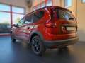 Dacia Jogger 100cv GPL Extreme UP 7 posti Brun - thumbnail 6