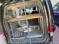 Nissan NV200 NV200 Kombi 1,5 dCi 110 Evalia Tekna Evalia Tekna Braun - thumbnail 6