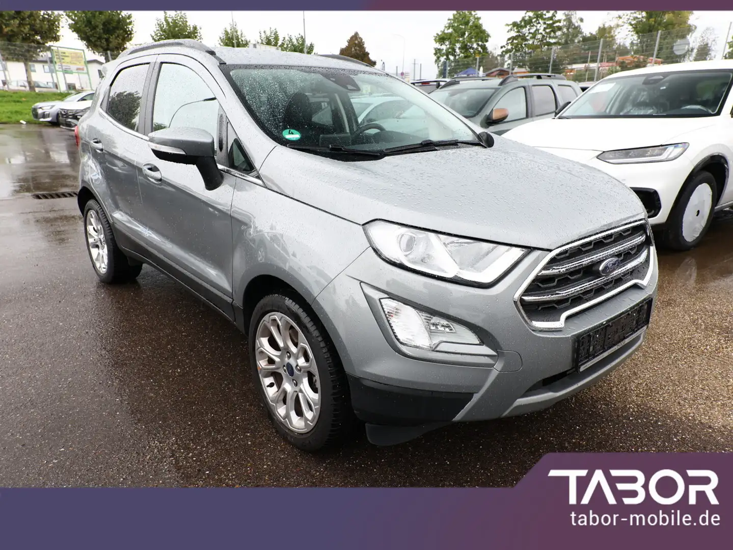 Ford EcoSport 1.0 EcoBoost 125 Titanium LED Nav SHZ Silber - 2