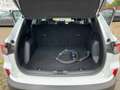 Ford Kuga 2.5 Duratec Plug-in-Hybrid PHEV Cool & Connect Weiß - thumbnail 17