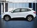 Ford Kuga 2.5 Duratec Plug-in-Hybrid PHEV Cool & Connect Weiß - thumbnail 2