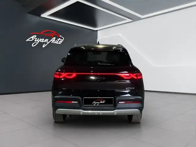 Byd Atto 2 view 4