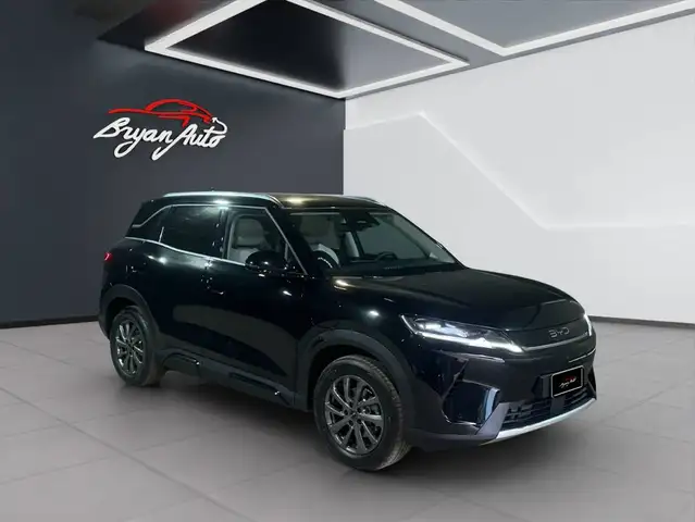 Byd Atto 2 view 2