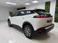 Peugeot 2008 1.5BlueHDi S&S Active 110 Blanco - thumbnail 14