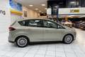 Ford C-Max 1.0 Titanium Bovag Garantie Grijs - thumbnail 14