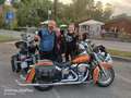 Harley-Davidson Deluxe Oro - thumbnail 6