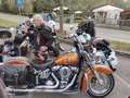 Harley-Davidson Deluxe Oro - thumbnail 9