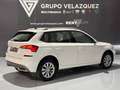 Skoda Kamiq 1.0 TSI Ambition 81kW DSG Weiß - thumbnail 1