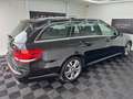 Mercedes-Benz E 220 4Matic*AHK*Sthz*Pano*LED* Noir - thumbnail 10