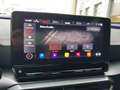 CUPRA Formentor 1.5 TSI DSG NAVI AHK MEMORY TOTW. ACC Grau - thumbnail 19
