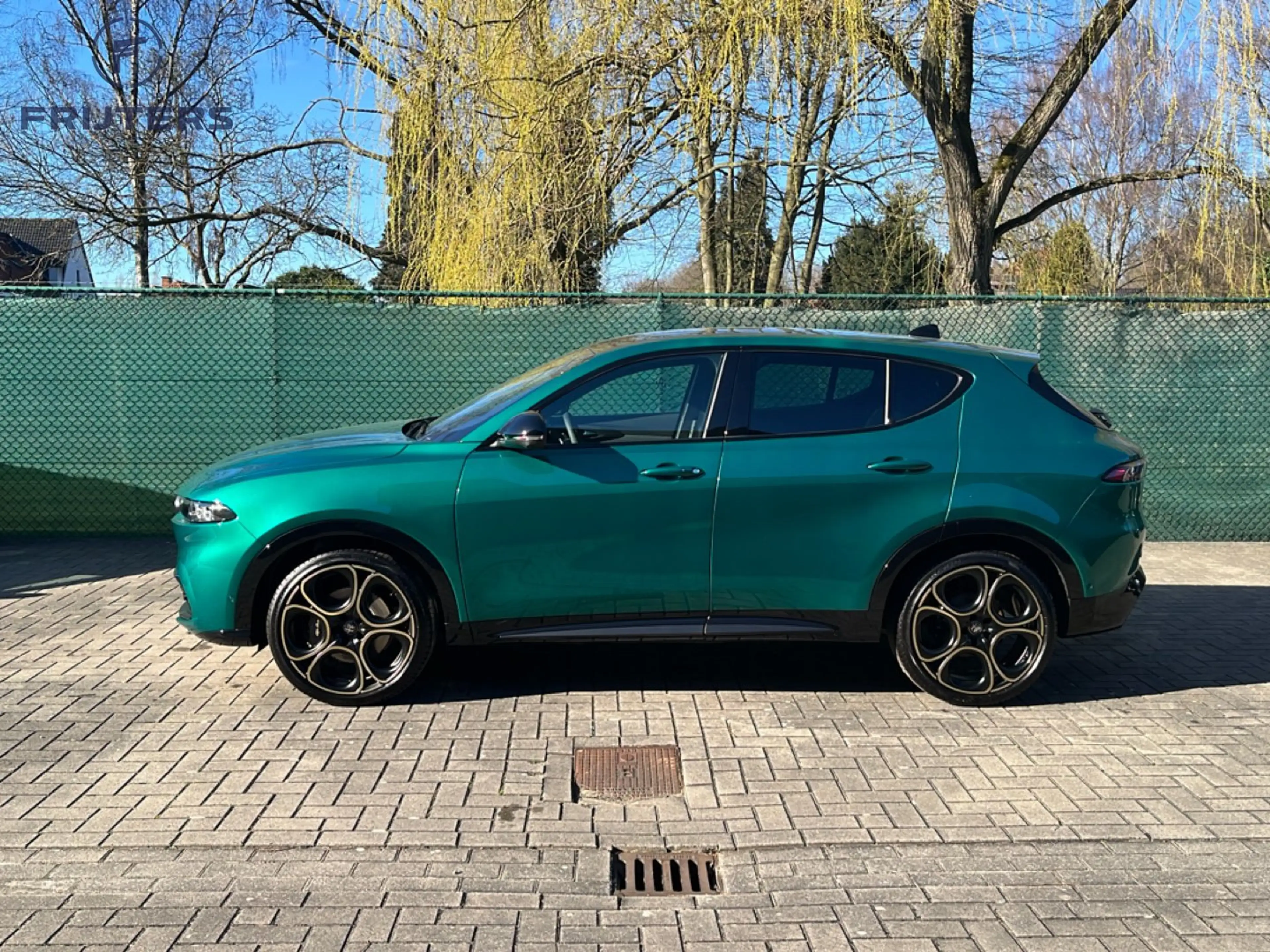 Alfa Romeo Tonale Mild hybrid Intensa 1.5 160 pk — photo 2