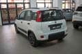 Fiat Panda 1.0 FireFly S&S Hybrid City Life Bianco - thumbnail 8