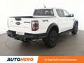 Ford 3.0 EcoBoost Doppelkabine Aut.*NAVI*LED*ACC*SHZ* Blanco - thumbnail 6