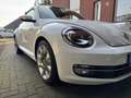 Volkswagen Beetle Cabriolet 1.2 TSI (BMT) Design 1a-Zustand! Blanc - thumbnail 5