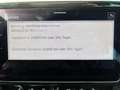 Volkswagen Passat Variant Business 2.0 TDI SCR DSG*LED*NAVI Grau - thumbnail 20