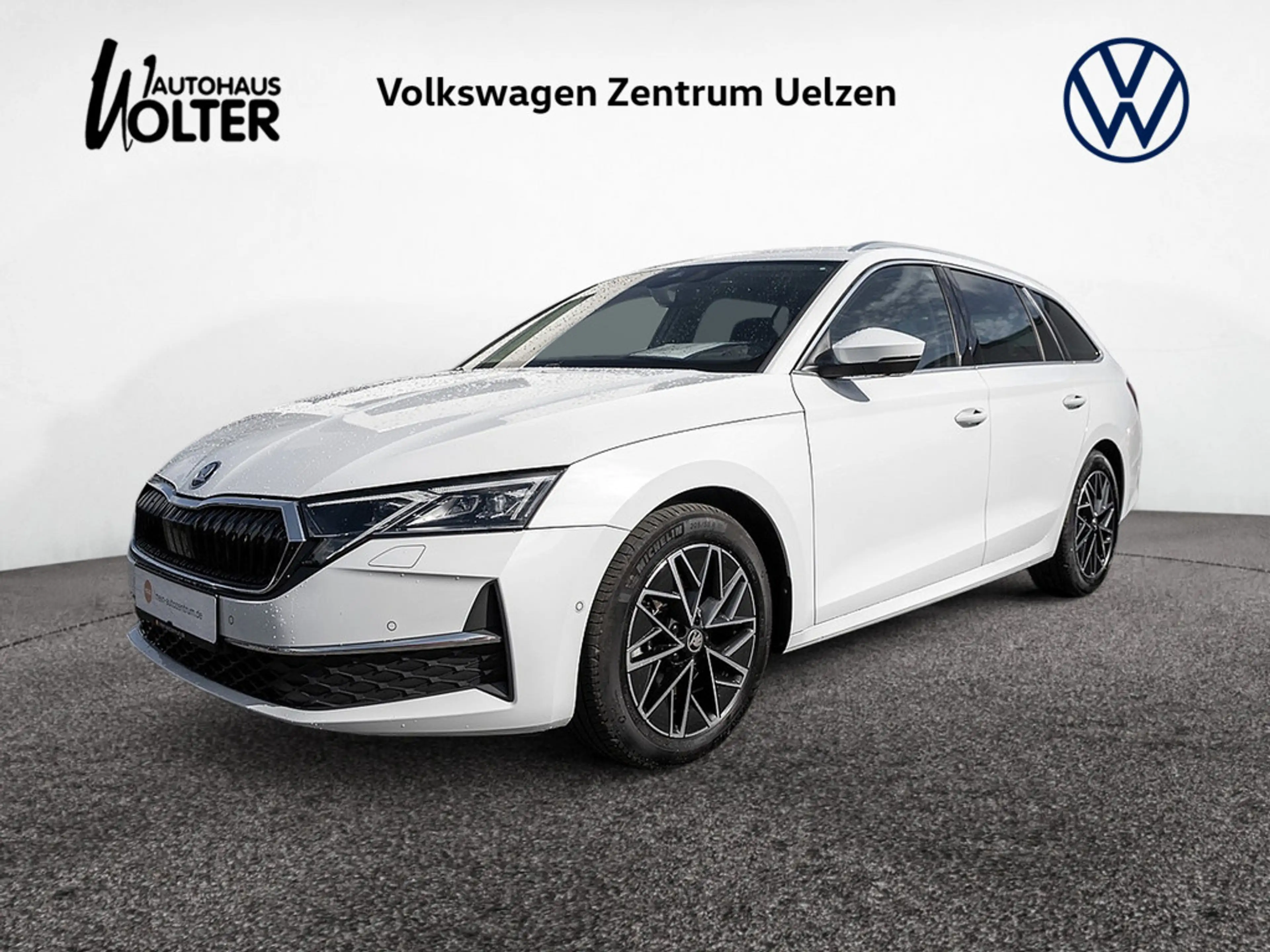Skoda Octavia 2.0 TDI Selection AHK 360° PANO KAM