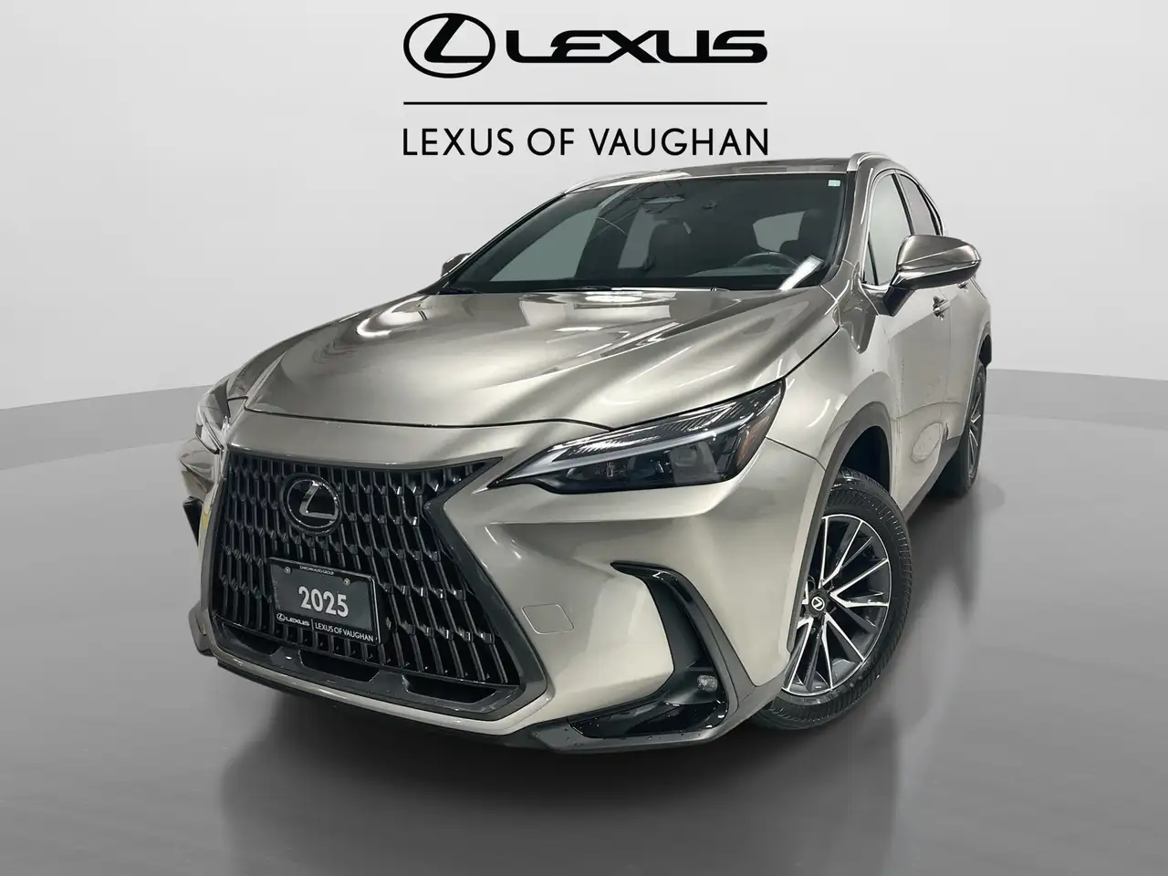 2025 Lexus NX