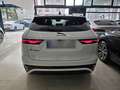 Jaguar F-Pace 2.0 D204 R-Dynamic SE awd auto c.20" Tetto Led Blanco - thumbnail 4