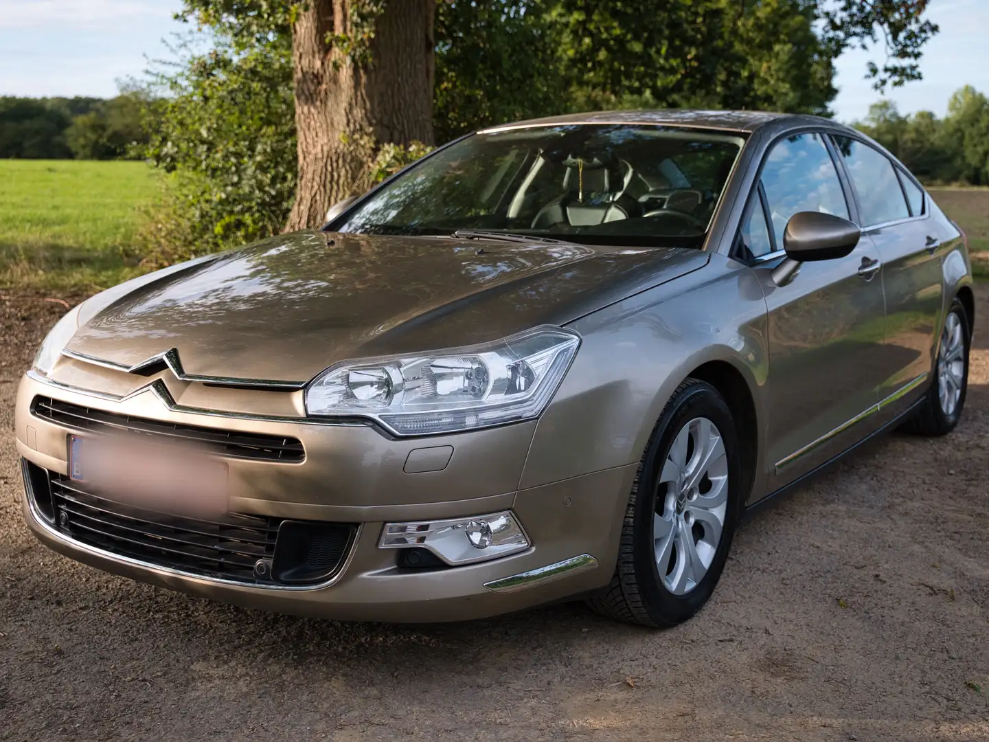 Citroen C5 C5 1.6 THP Exclusive Beige - 1