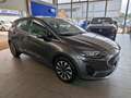 Ford Fiesta 1.1 75 CV 5 porte Titanium Grigio - thumbnail 7