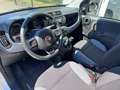 Fiat Panda Easy*  Inkl. Pizza Warmhalteofen** Weiß - thumbnail 5