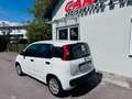 Fiat Panda Easy*  Inkl. Pizza Warmhalteofen** Weiß - thumbnail 2