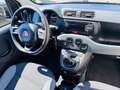 Fiat Panda Easy*  Inkl. Pizza Warmhalteofen** Weiß - thumbnail 7