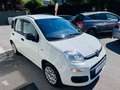 Fiat Panda Easy*  Inkl. Pizza Warmhalteofen** Weiß - thumbnail 4