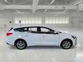 Ford Focus WAGON 1.5 Ecoblue 120cv Business Co-Pilot Auto - thumbnail 3