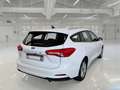 Ford Focus WAGON 1.5 Ecoblue 120cv Business Co-Pilot Auto - thumbnail 4